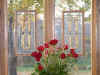 oak stained glass frames oak stain.jpg (113017 bytes)